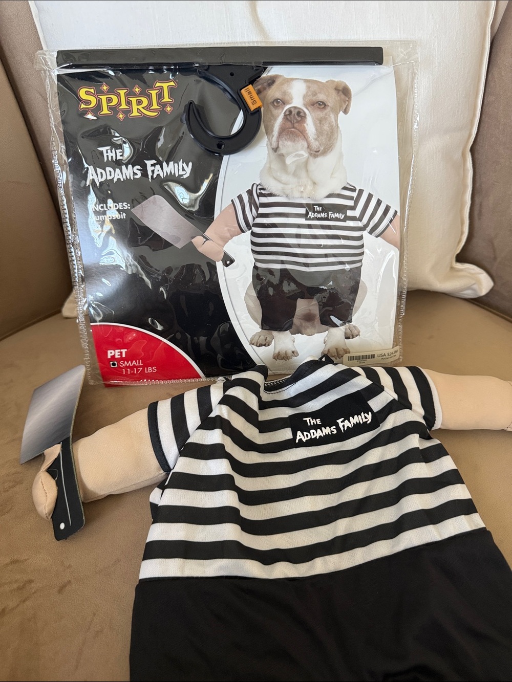 Spirit Black & White Striped The Addams Family Pet Costume